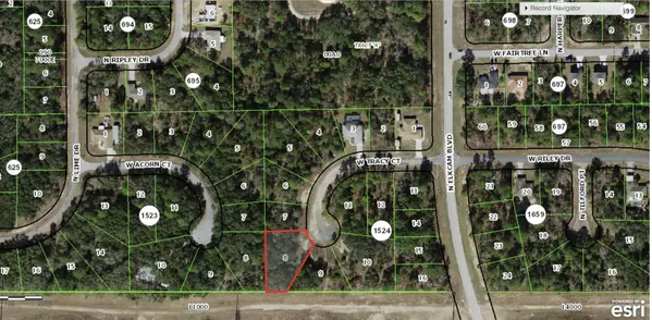 Citrus Springs, FL 34433,2770 W Tracy CT