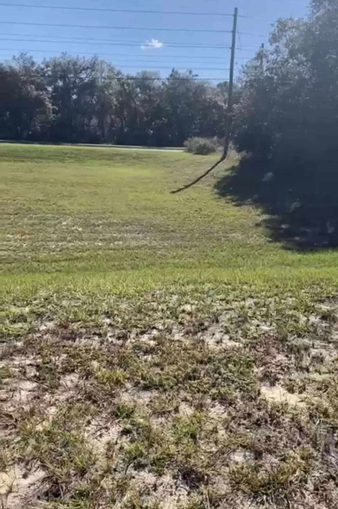 Ocala, FL 34473,4017 SW 133rd LOOP