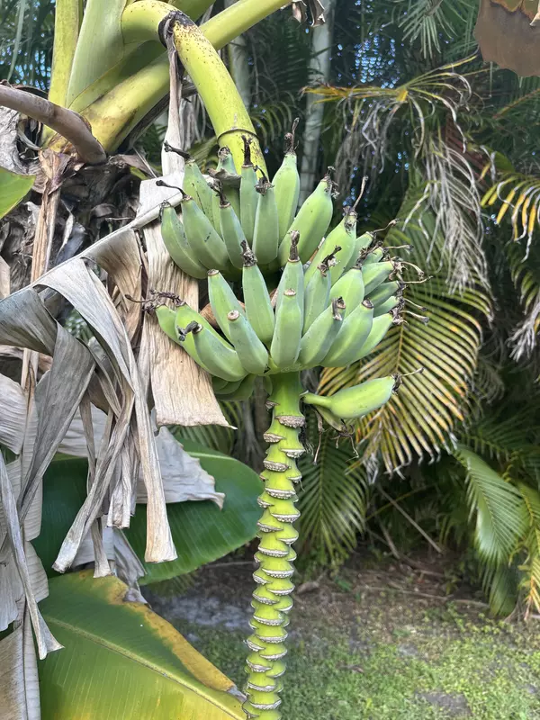 Port Saint Lucie, FL 34952,1256 SE Ladner ST