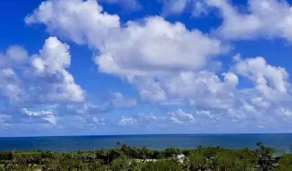 Boca Raton, FL 33431,4101 N Ocean BLVD 703