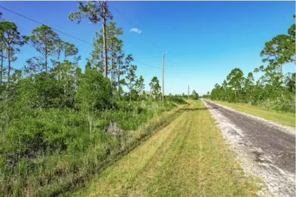 Indian Lake Estates, FL 33855,0 Calliandra DR