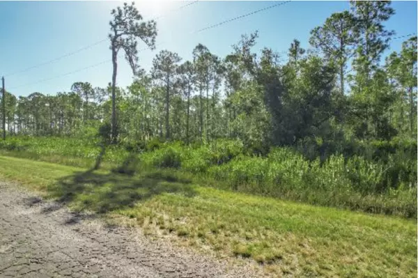 Indian Lake Estates, FL 33855,0 Calliandra DR