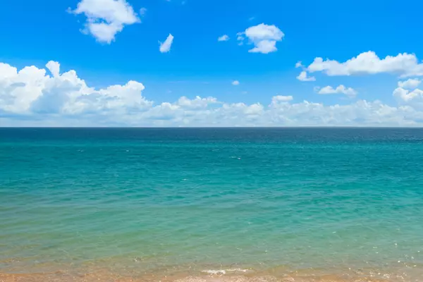 Fort Lauderdale, FL 33316,1578 S Ocean LN 115