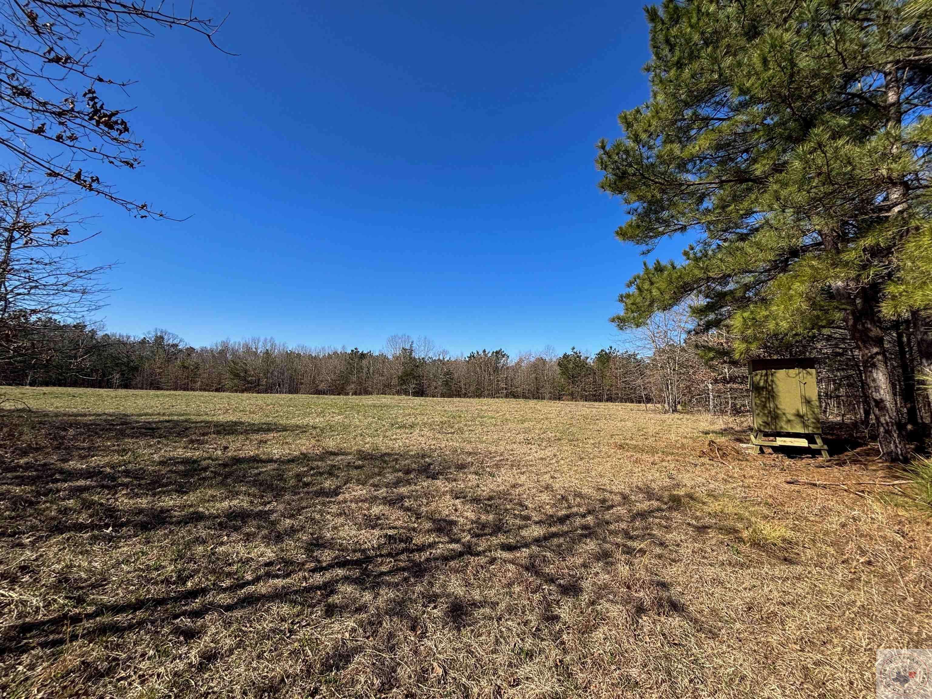 Avery, TX 75554,57 +/- acres CR 4429