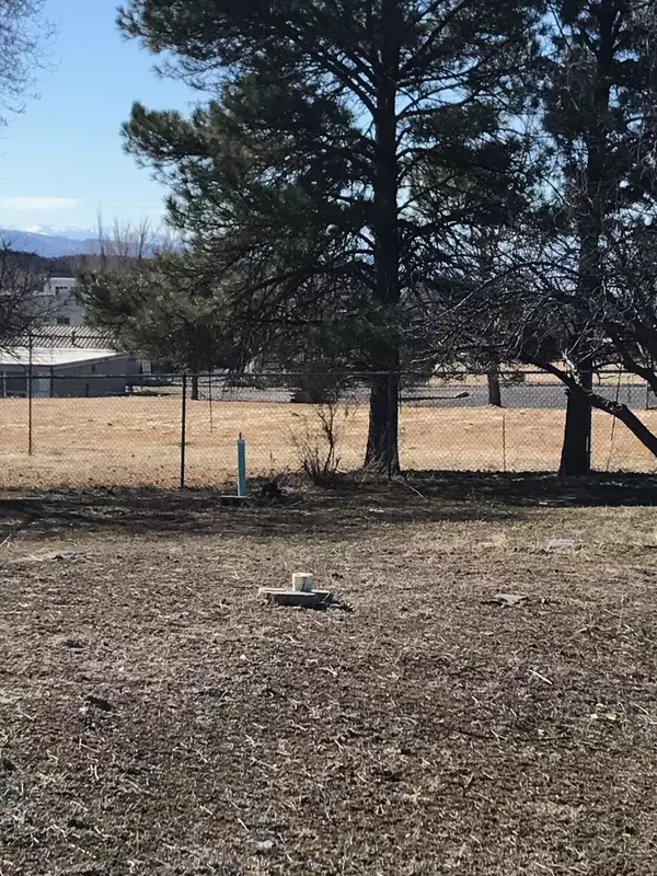 Cedaredge, CO 81413,TBD NW 3rd Street #11