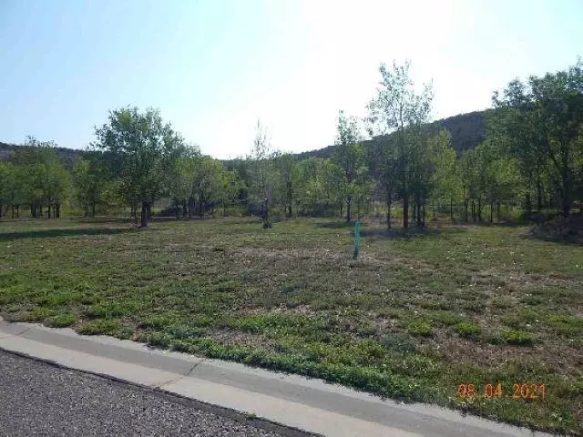 815 SE Pinyon Street #96, Cedaredge, CO 81413