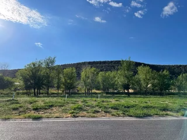 775 SE Pinyon Street #98, Cedaredge, CO 81413
