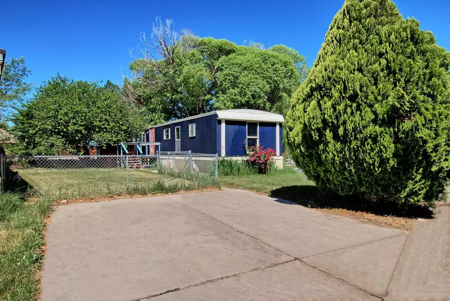 825 E Ottley Avenue, Fruita, CO 81521