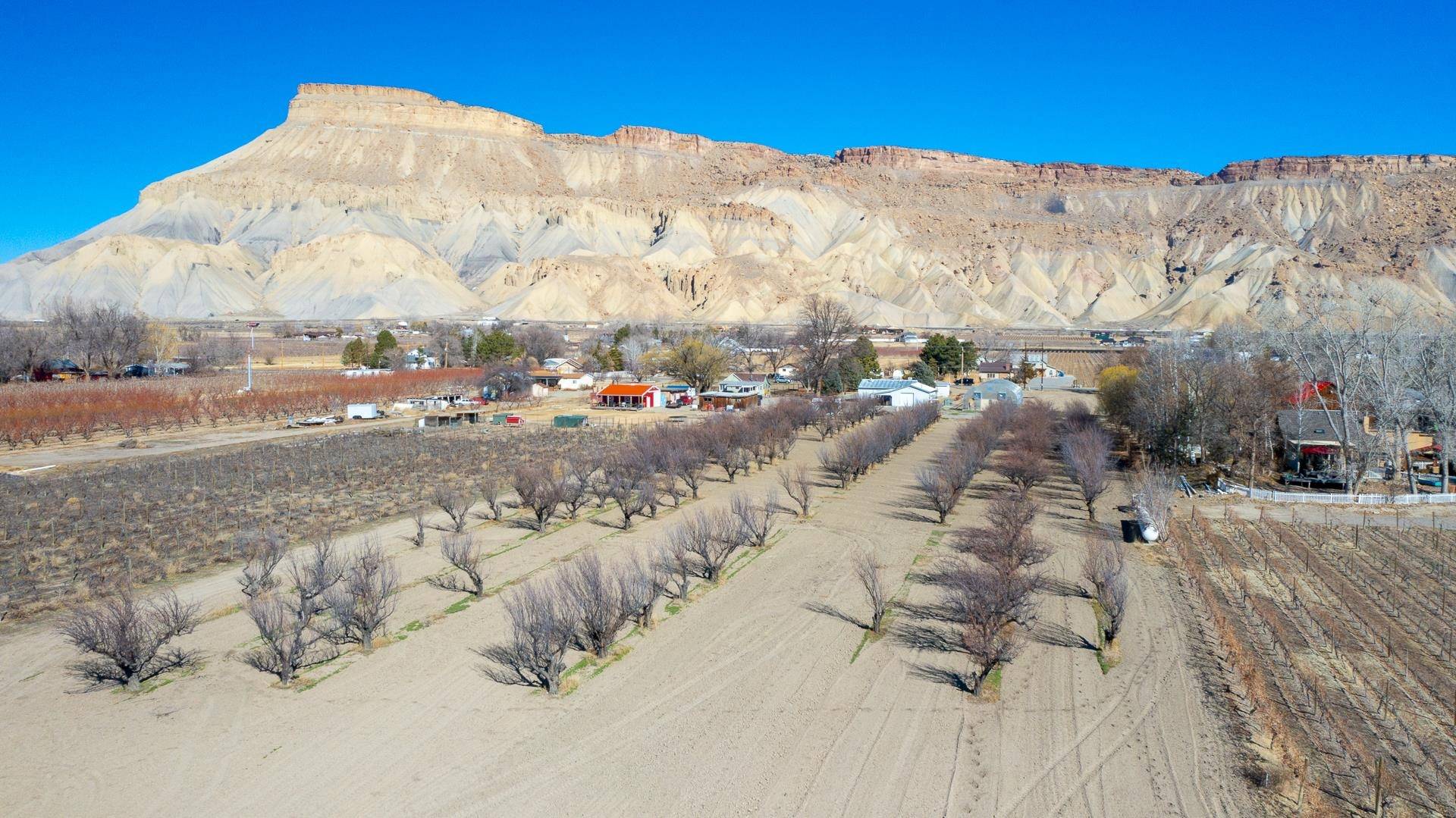 Palisade, CO 81526,3573 G Road