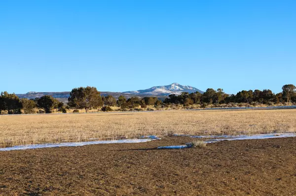 Montrose, CO 81403,TBD Tract 7 Bostwick Park Road #7