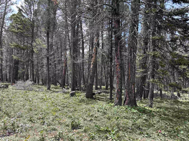 792 Crest Drive #15, Cimarron, CO 81220