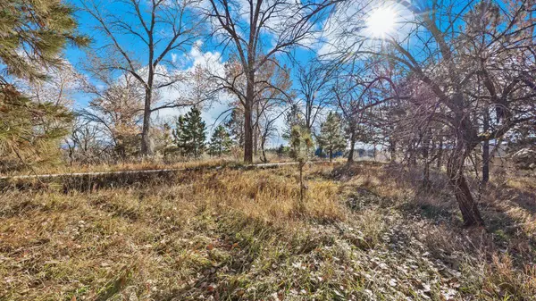 Grand Junction, CO 81506,TBD Cascade Drive #N/A