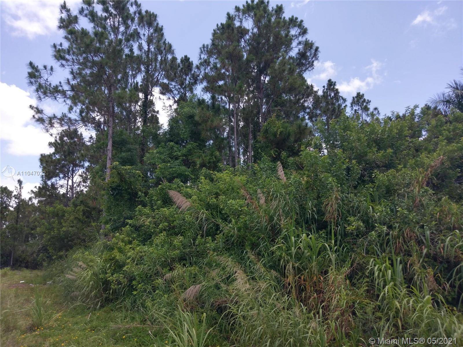 Homestead, FL 33034