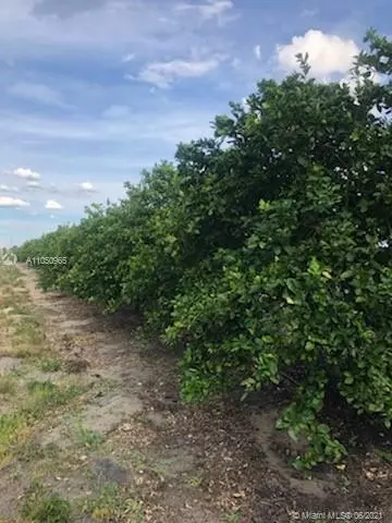 Frostproof, FL 33843,Lost Grove Rd.