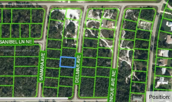 Lake Placid, FL 33852,115 DELMAR AVE