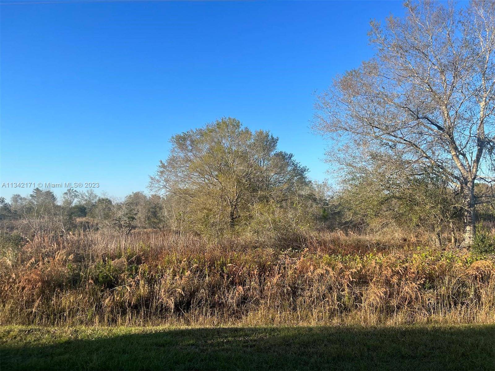 17489 NW 266TH ST, Okeechobee, FL 34972