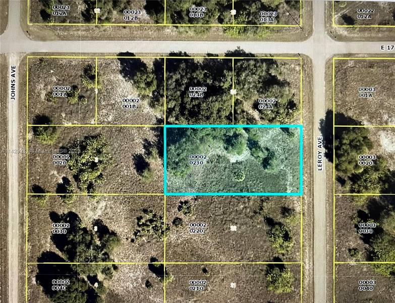 806 LEROY AVENUE, Lehigh Acres, FL 33972