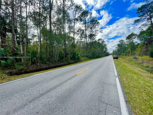 Daytona, FL 32124,N/A OLD DELAND RD