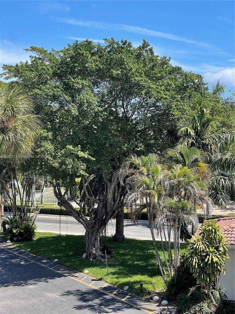 Hallandale Beach, FL 33009,501 Blue Heron Dr #318-A