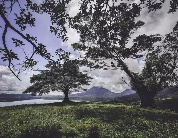 FL,Address not disclosed