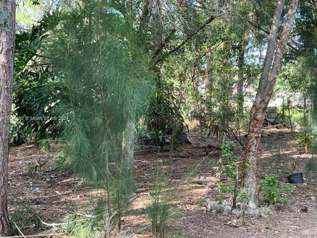 Clewiston, FL 33440,350 S Escribo