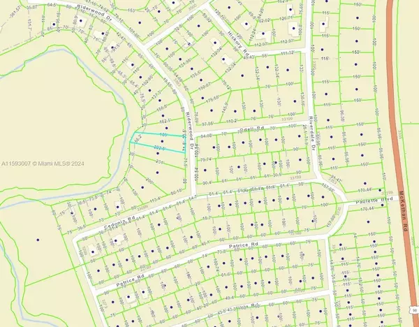 RIDERWOOD DR LOT9, Other City - In The State Of Florida, FL 33523