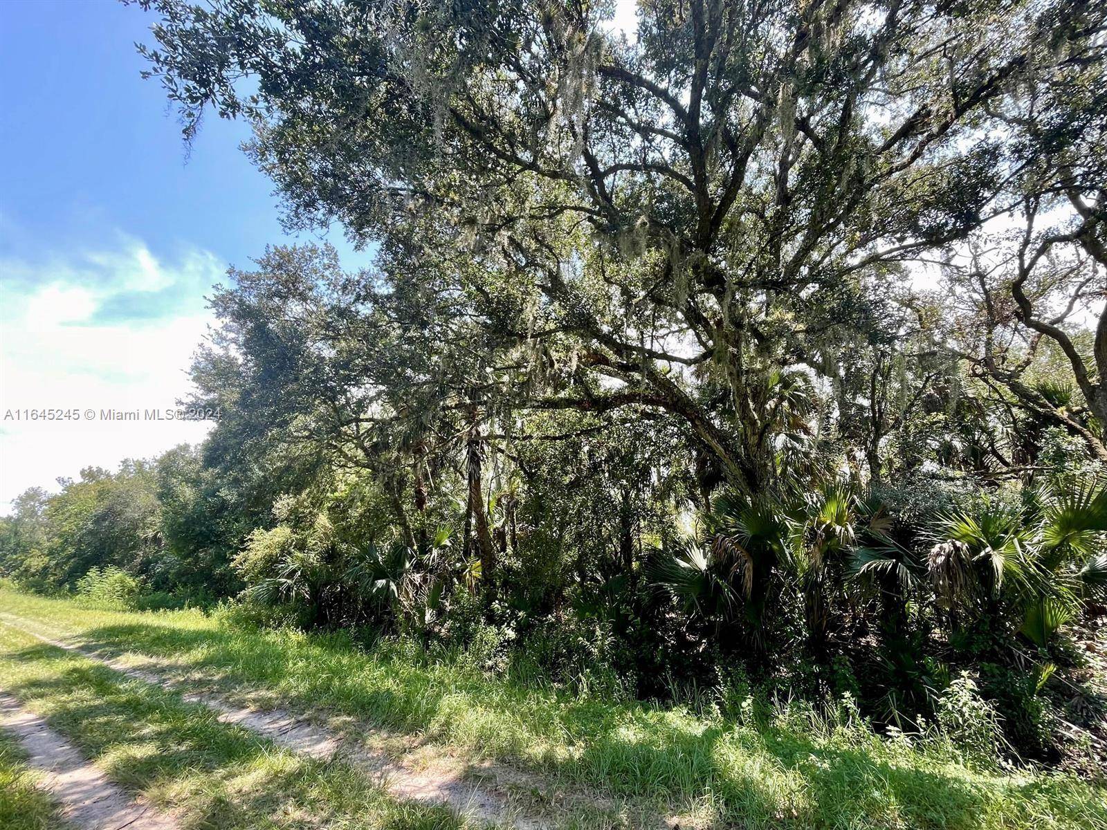 Okeechobee, FL 34972,20478 NW 292