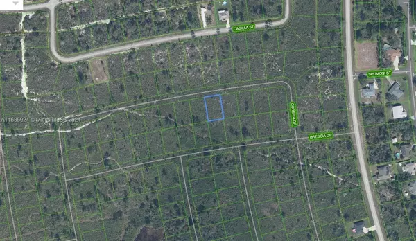 Sebring, FL 33872,5032 Corsica Drive