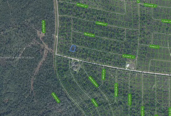 Sebring, FL 33872,8739 Alacante Drive