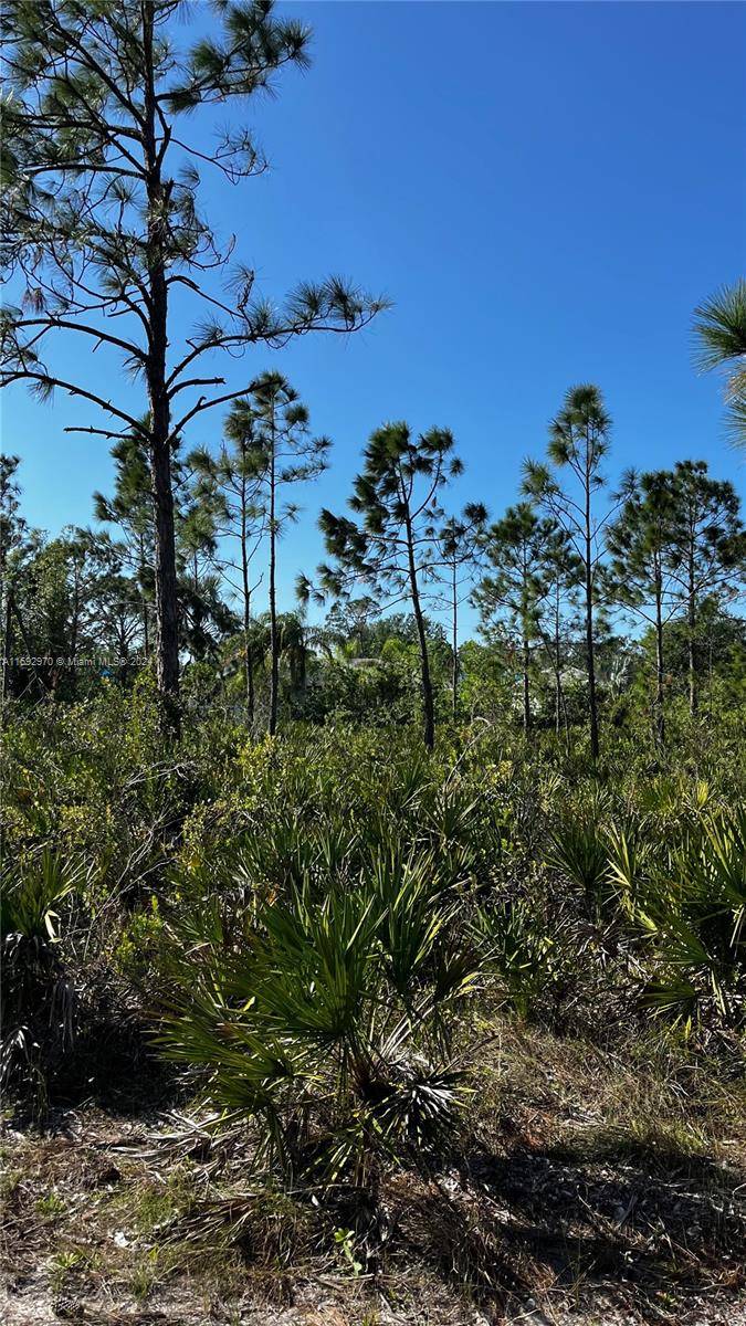 Punta Gorda, FL 33955,12189 Hindle Ave