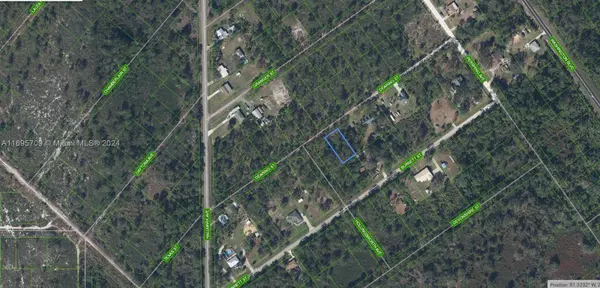 Lake Placid, FL 33852,1015 Dearing Street