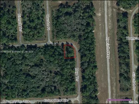 La Belle, FL 33935,319 James Irwin Terr, BANYAN VILLAGE