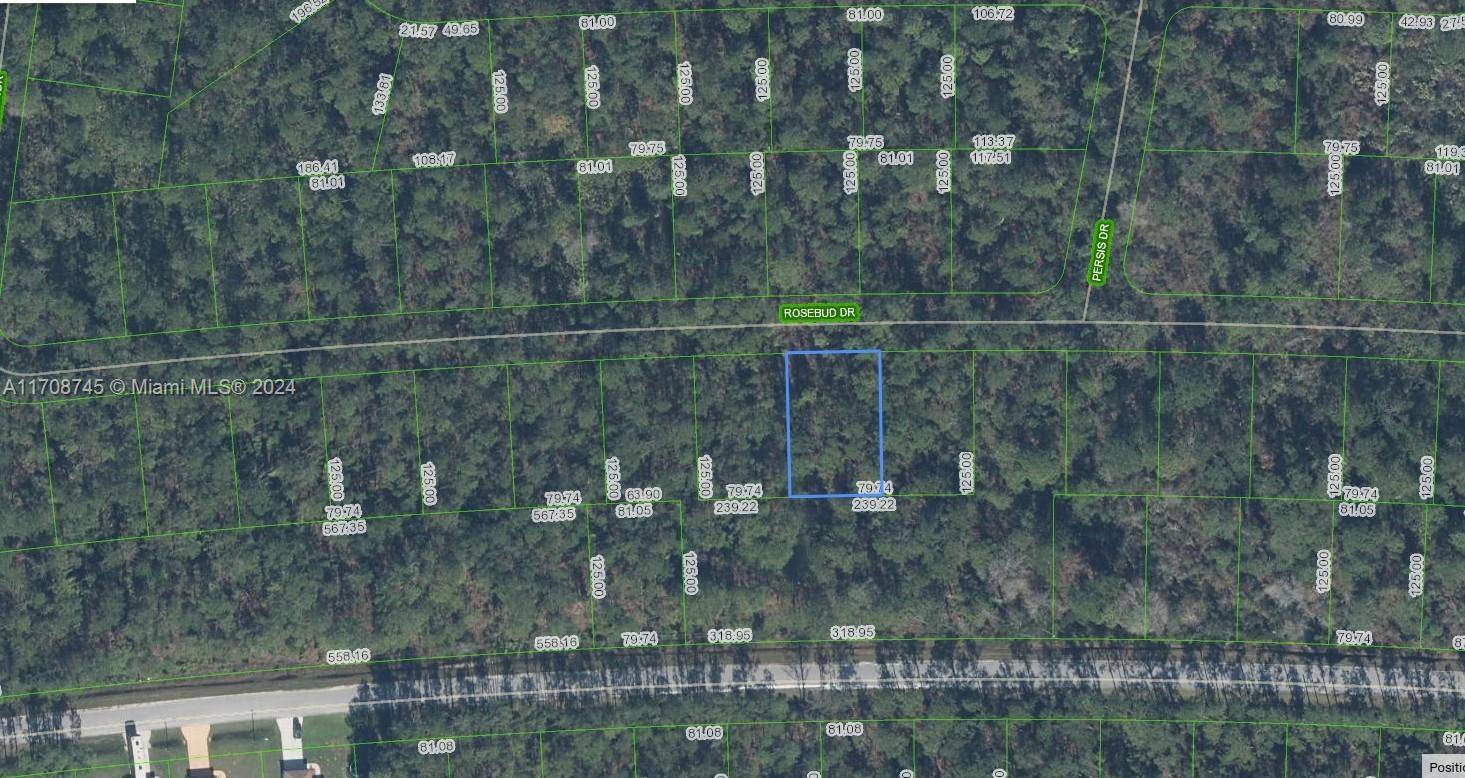 8013 Rosebud Drive, Sebring, FL 38872