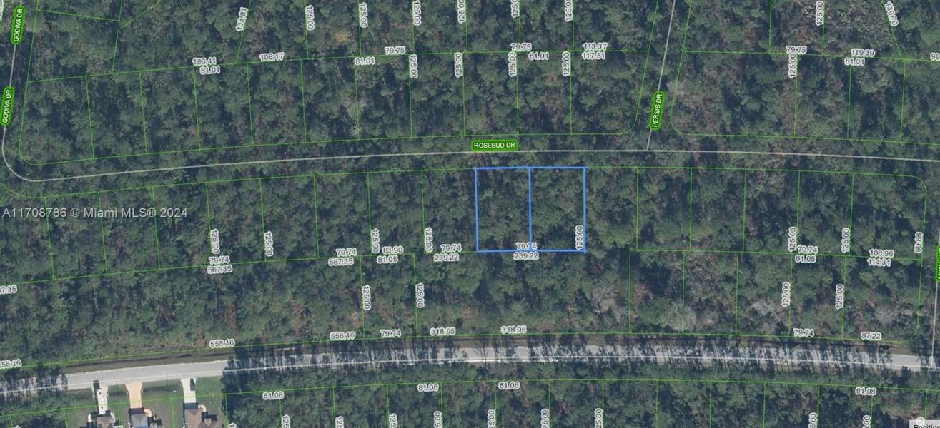 8007+8013 Rosebud Drive, Sebring, FL 33872