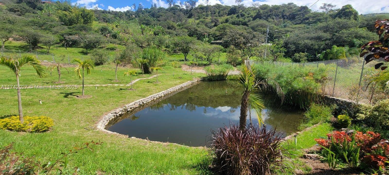 ,,,. Quinta Luna Azul