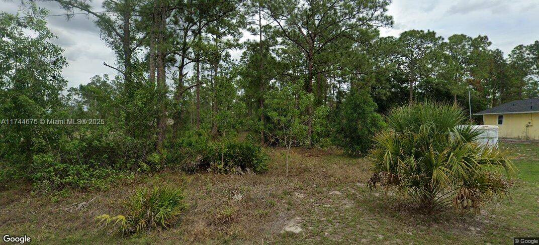 114 LOUIS, Other City - In The State Of Florida, FL 33936