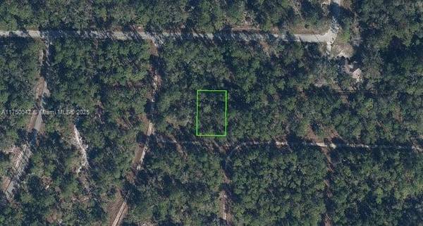 3215 Delafield, Lake Placid, FL 33852