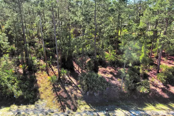 Lehigh Acres, FL 33972,817 Willard Ave