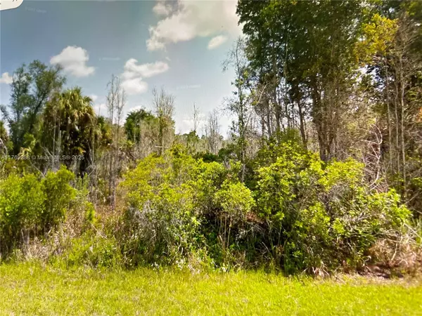 Port Charlotte, FL 33953,1140 Delmore St