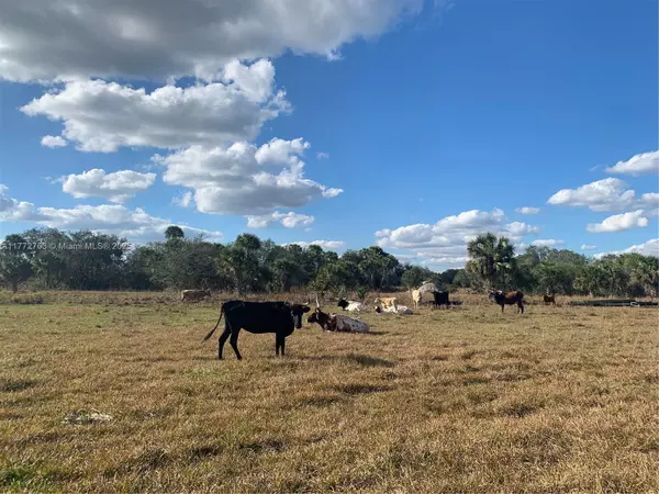 1425 SW Cabbage Ln, Other City - In The State Of Florida, FL 34974