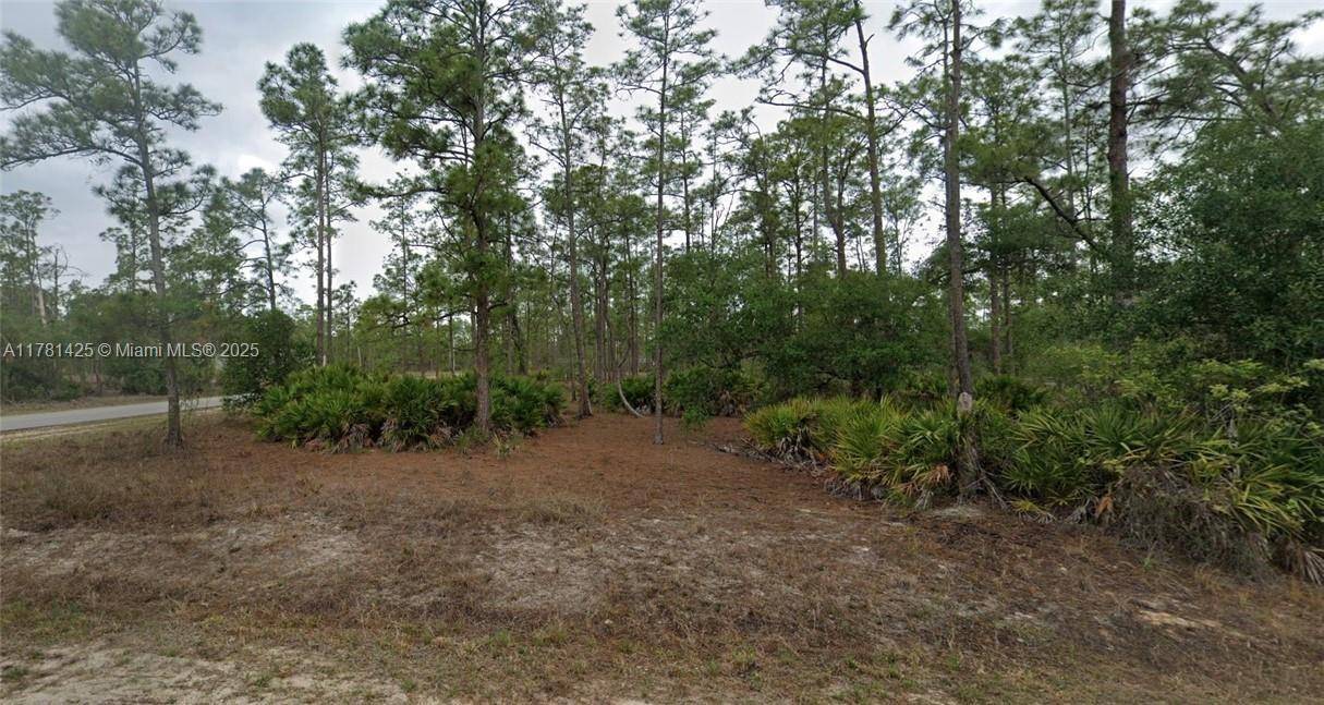 Lehigh Acres, FL 33972,1301 James Avenue