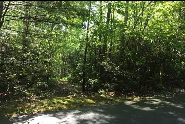 ,, NC 28774,Lot 66 Juniper Court