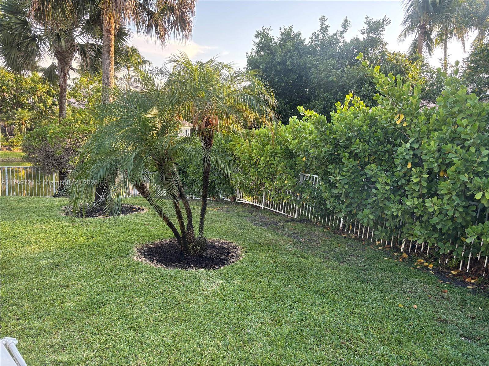Plantation, FL 33324,320 Windmill Palm Ave