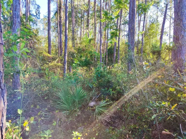 Palm Coast, FL 32164,4 Serra CT