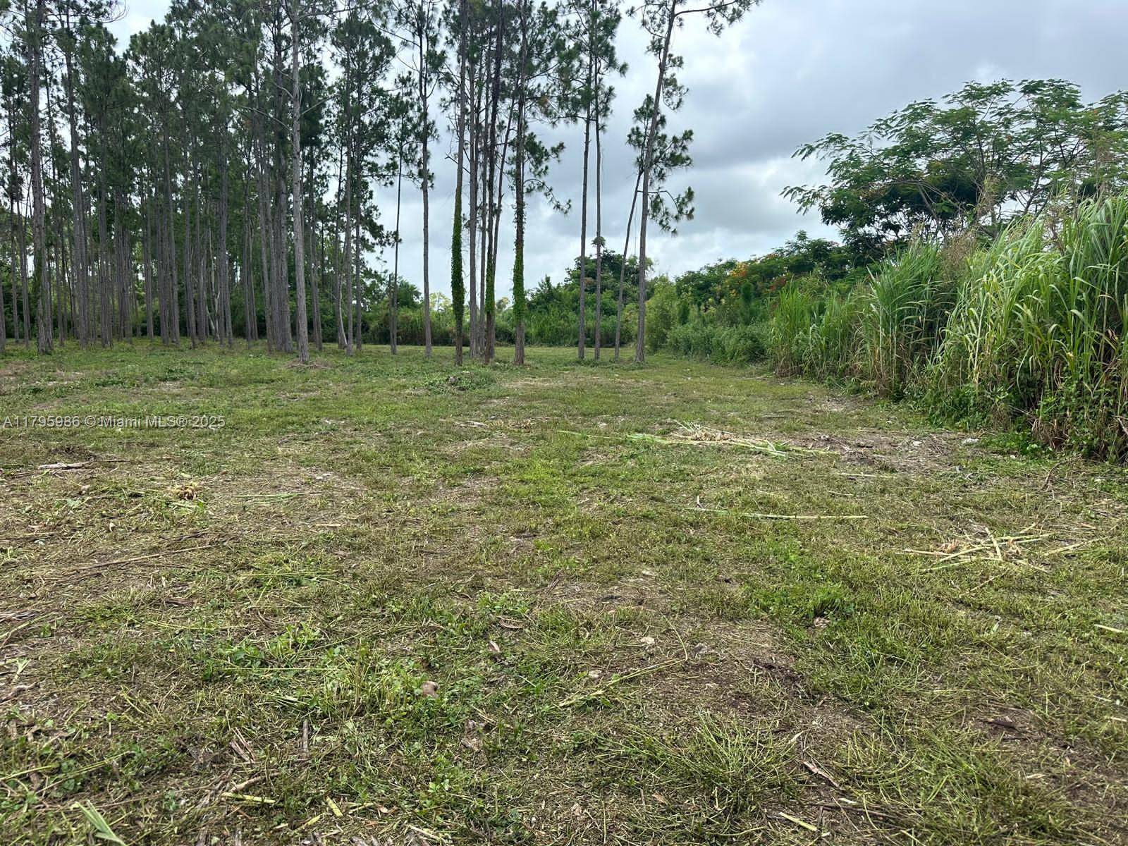 197 SW 332 St, Homestead, FL 33034