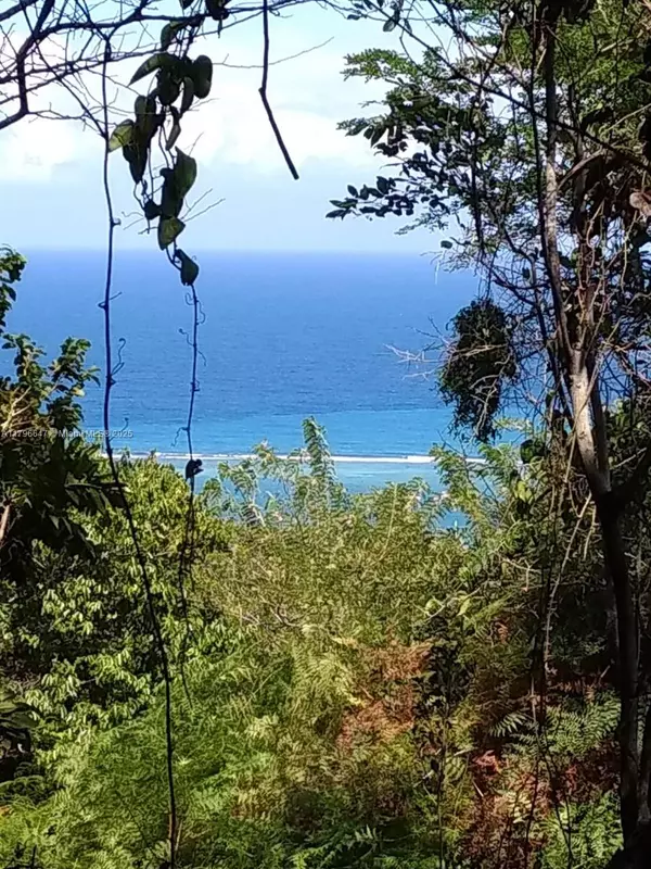 16 Top Rd St Ann's Bay Jamaica
