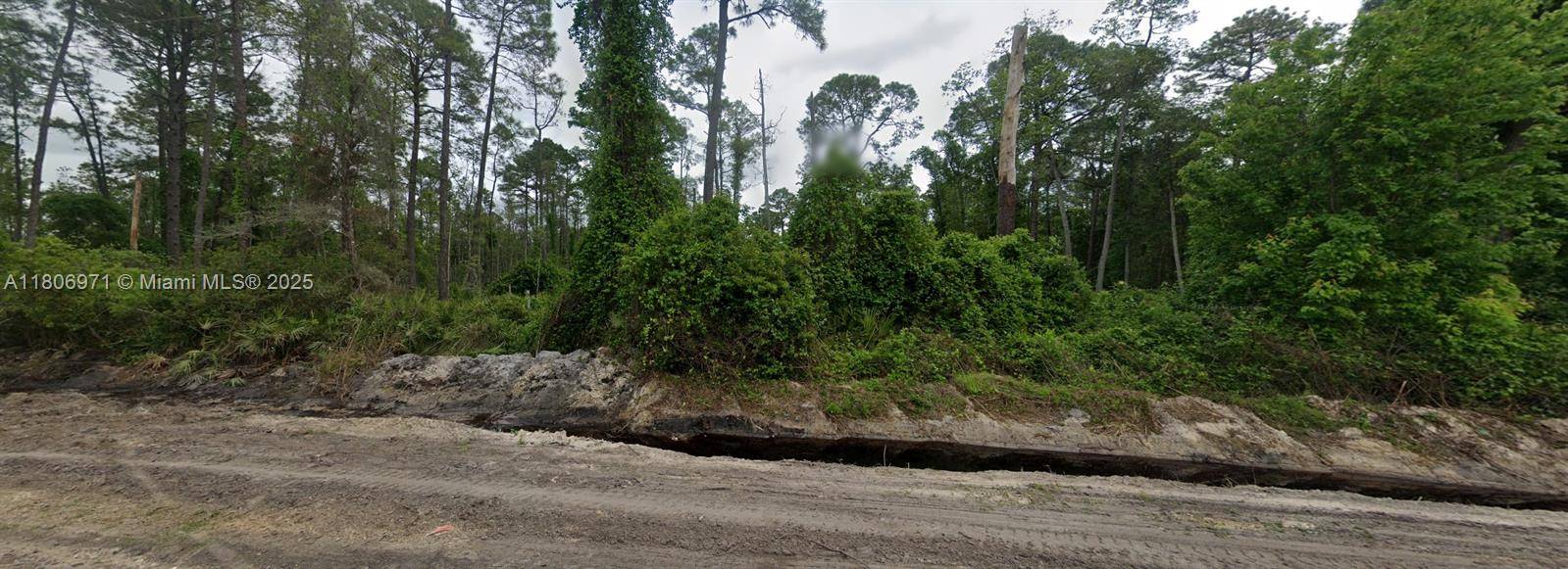 Other, FL 32189,106 Mallard Rd