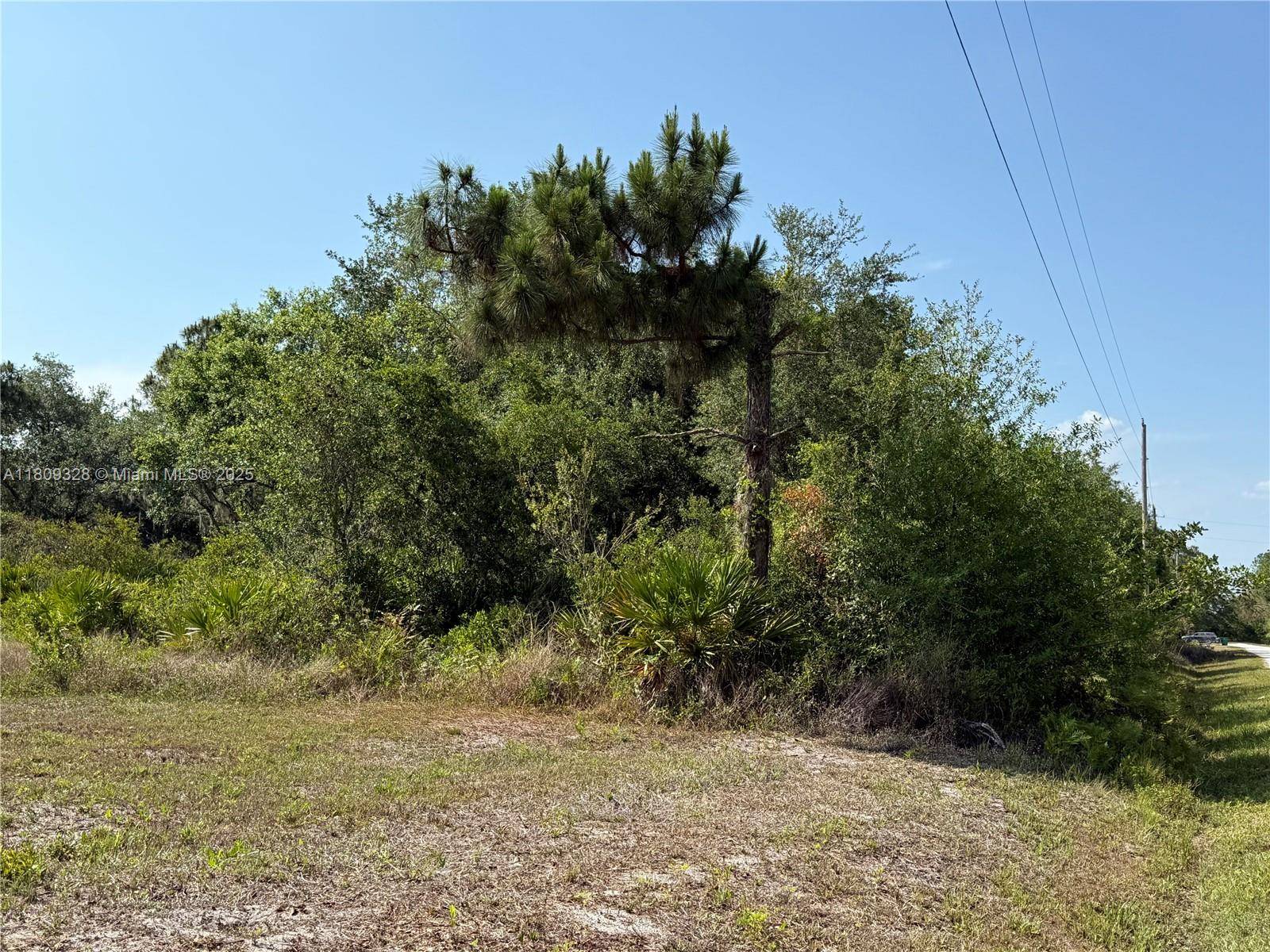 Clewiston, FL 33440,720 N ZAMBRIA ST