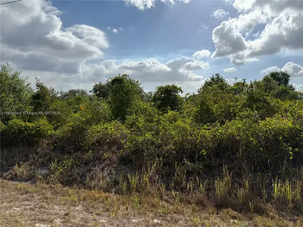 Clewiston, FL 33440,555 S LIVE OAK ST