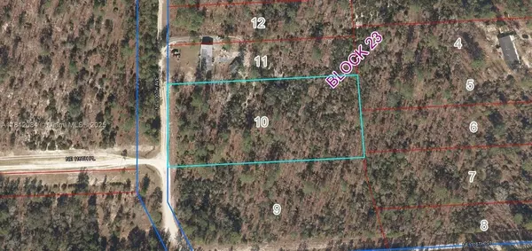 Other City - In The State Of Florida, FL 32618,LOT 10 NE 100 AVE